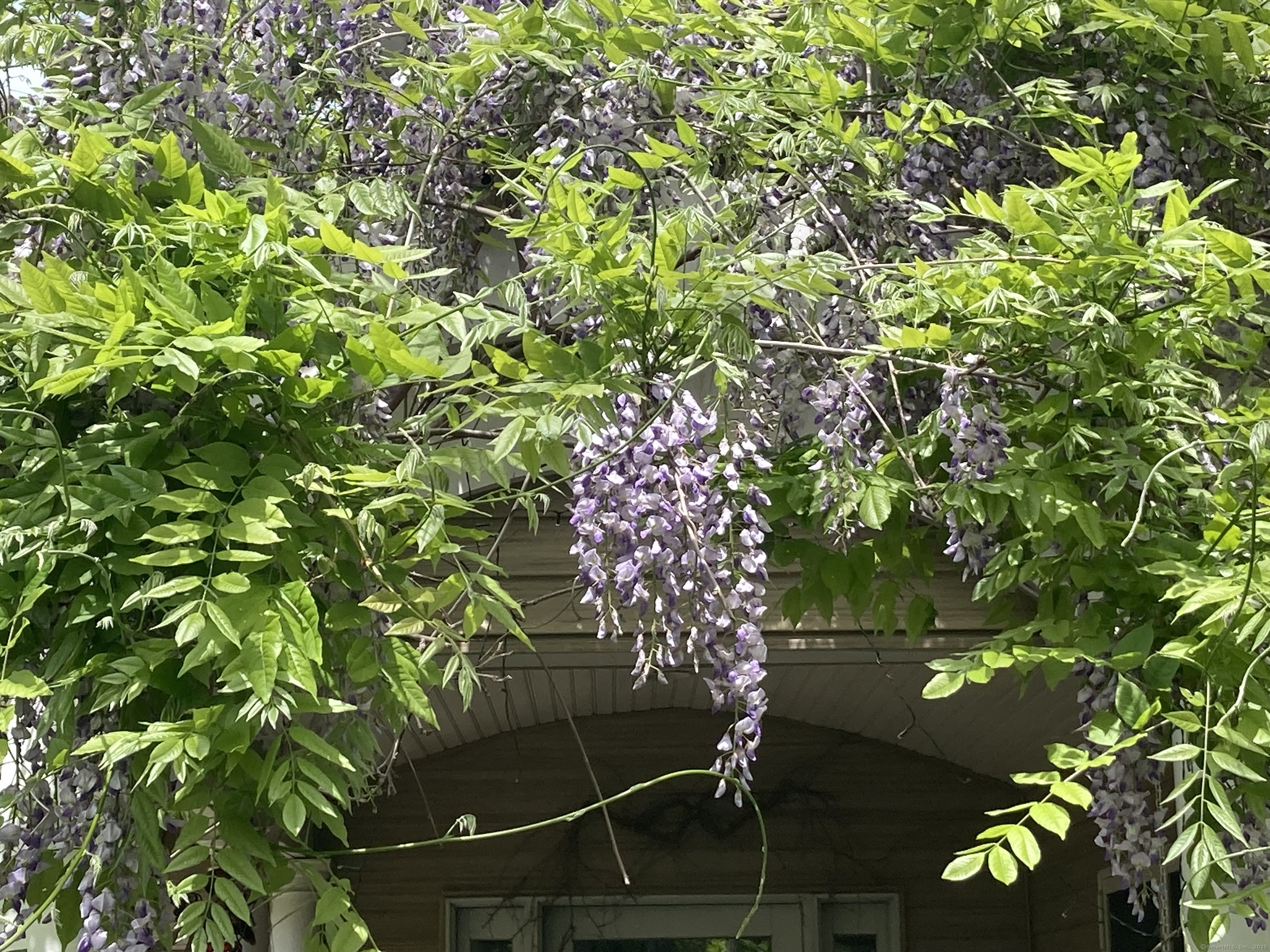 271 Charles Street, Torrington, Connecticut image 29