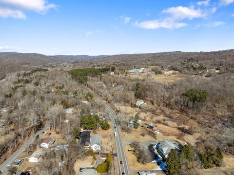 Tiny photo for 128 Litchfield Road, New Milford, CT 06776 (MLS # 24162118)