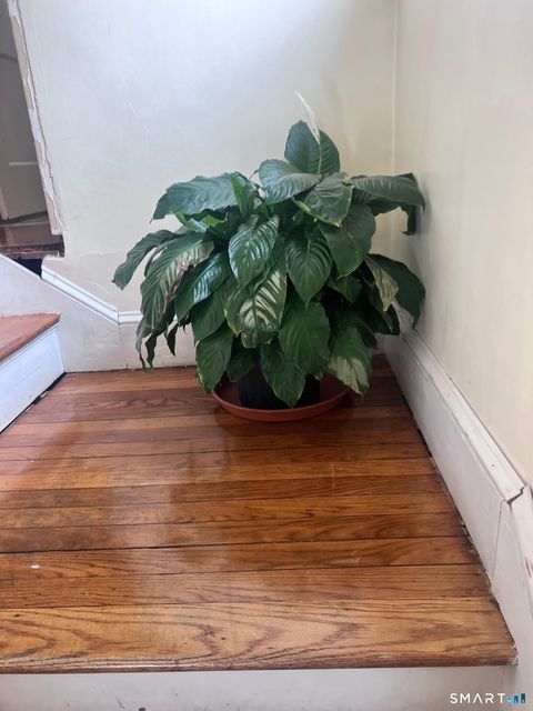 Tiny photo for 3461 Main Street, Bridgeport, CT 06606 (MLS # 24154979)