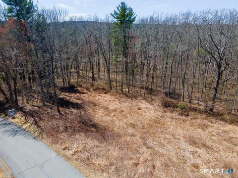 Photo of 36 Olde Meadow Road, Woodstock, CT 06281 (MLS # 24164632)