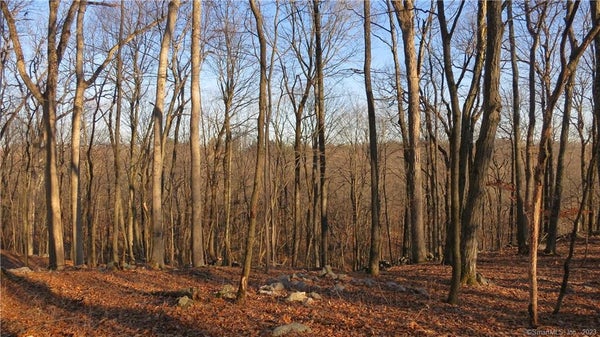 67 UMPAWAUG RD, REDDING, CT 06896 - Image fccbfead77c1daedc968cbaf103faea9/144728649