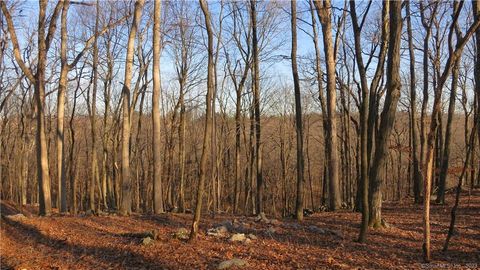 Photo of 67 Umpawaug Road, Redding, CT 06896 (MLS # 24172383)
