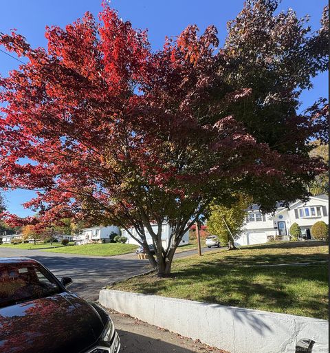 Tiny photo for 100 Media Avenue #1, Waterbury, CT 06708 (MLS # 24135675)