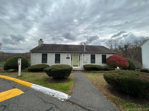 Tiny photo for 177 Aspetuck Village #177, New Milford, CT 06776 (MLS # 24137832)