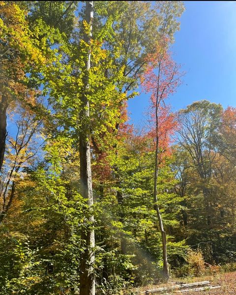 Brook Road lot 4 Hampton CT 06247