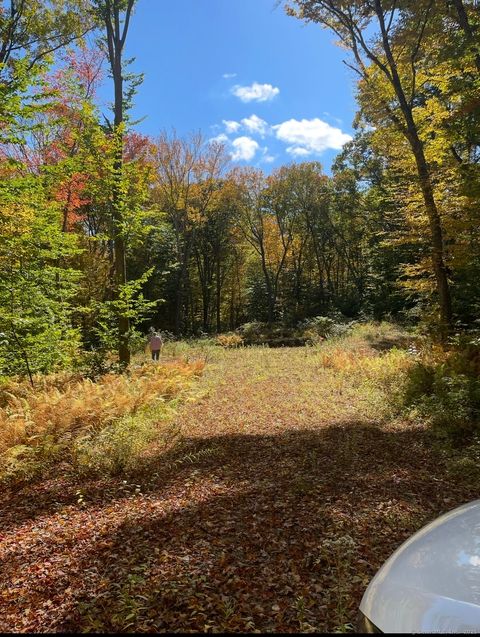 Tiny photo for Brook Road #lot 4, Hampton, CT 06247 (MLS # 24142668)