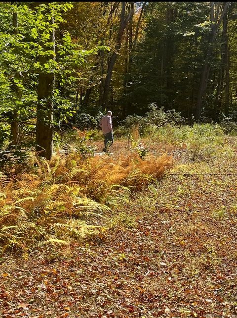 Tiny photo for Brook Road #lot 4, Hampton, CT 06247 (MLS # 24142668)