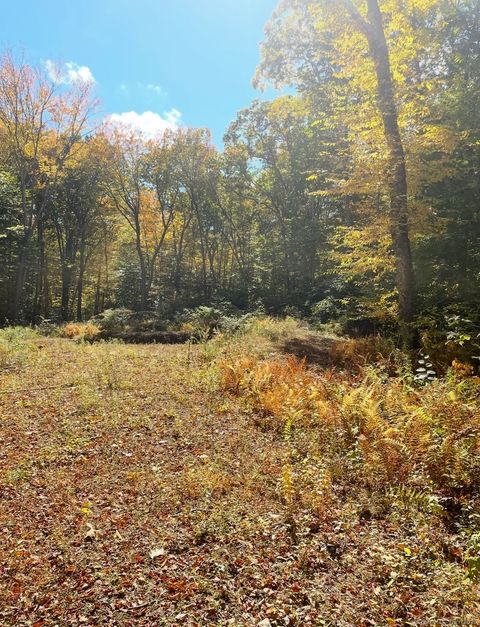 Tiny photo for Brook Road #lot 4, Hampton, CT 06247 (MLS # 24142668)