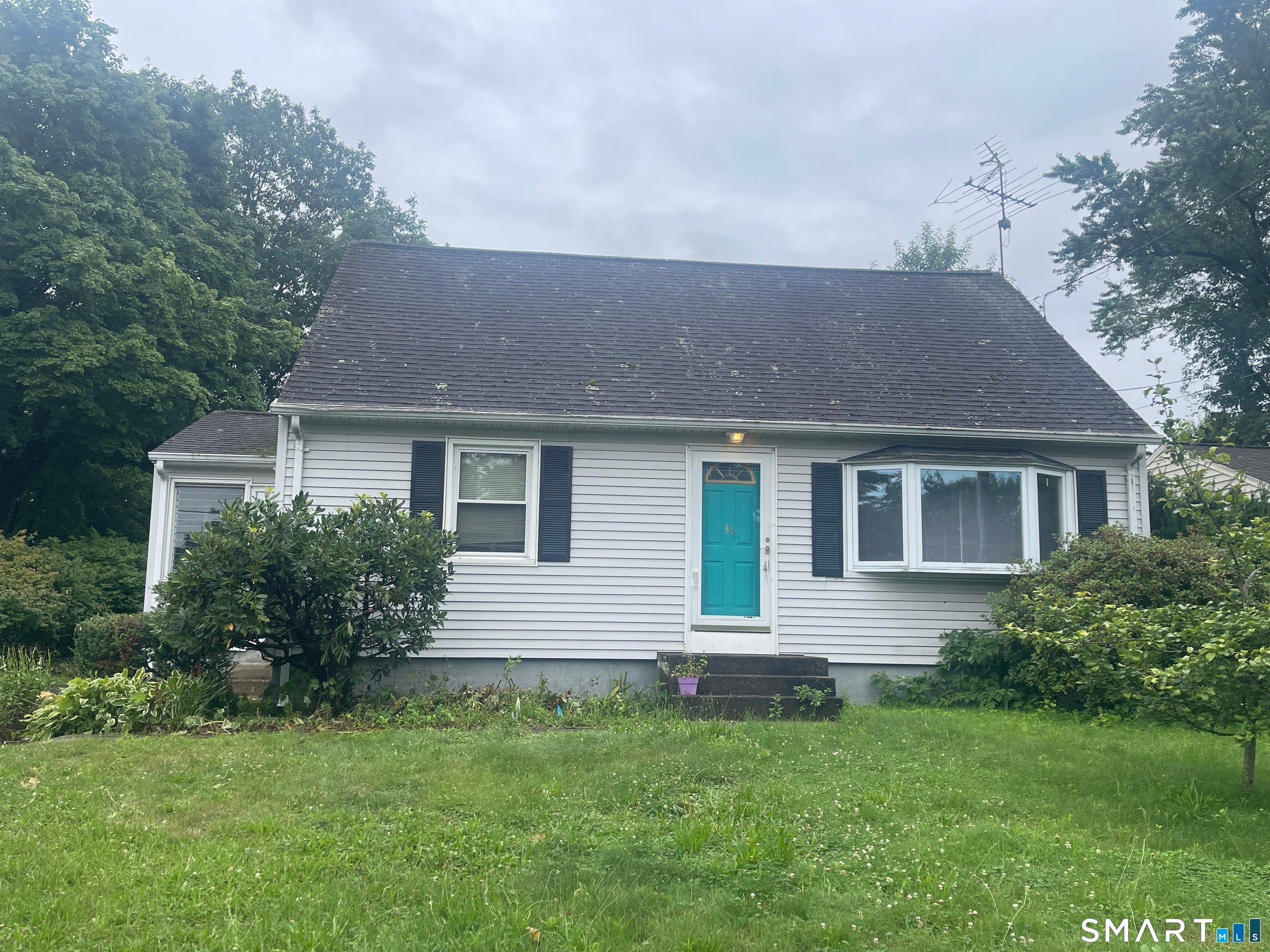 36 Sedgwick Road
