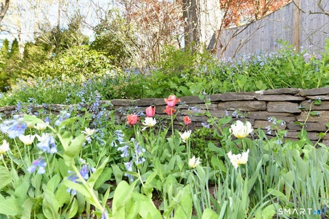 Tiny photo for 24 Coleman Road, Glastonbury, CT 06033 (MLS # 24197214)