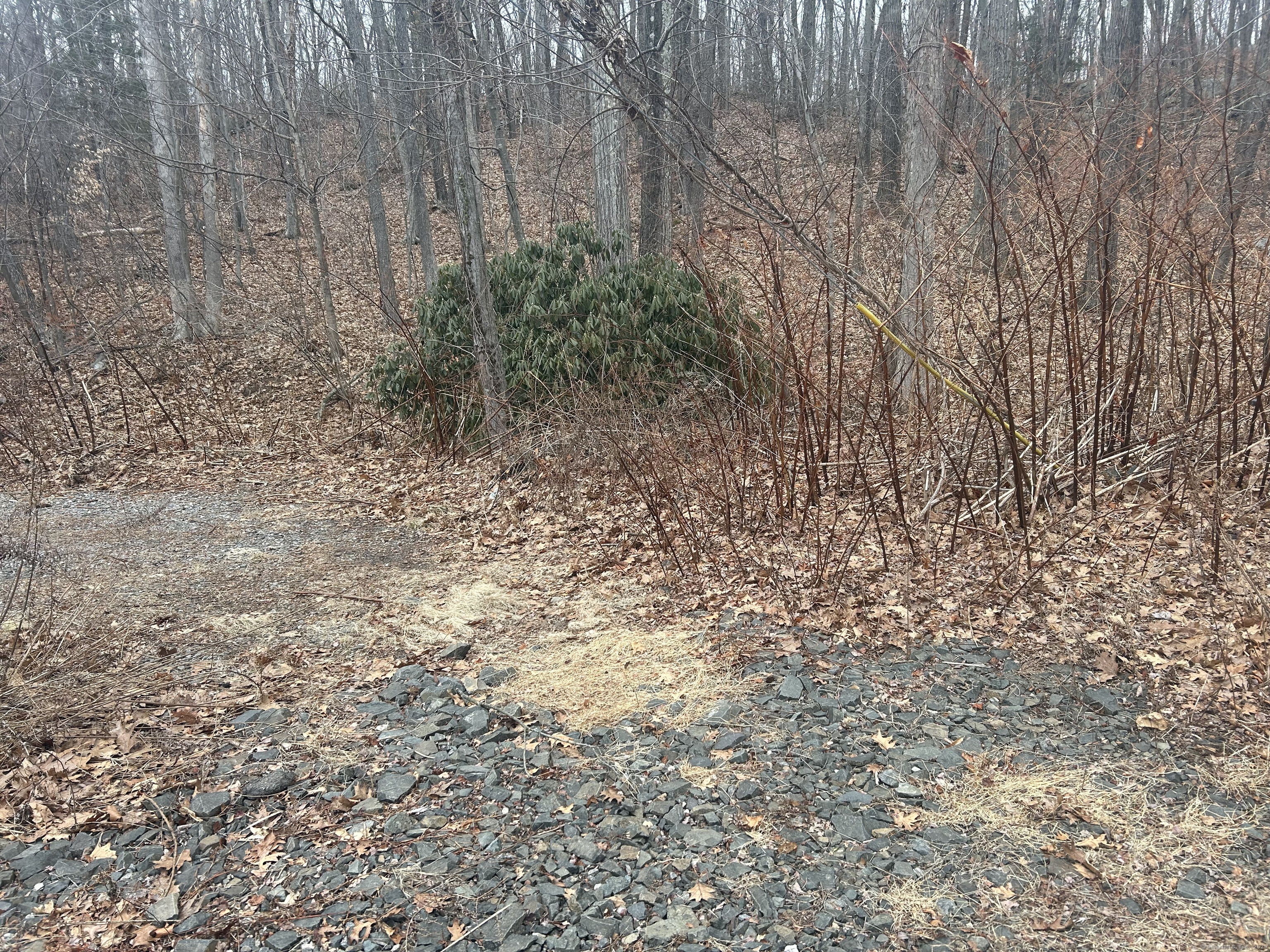 179 Lake Plymouth Boulevard, Plymouth, Connecticut image 6