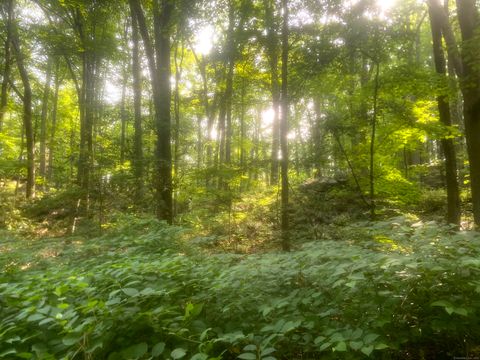 Vacant Land For Sale - 6716 Main Street<br/> Trumbull, CT 06611