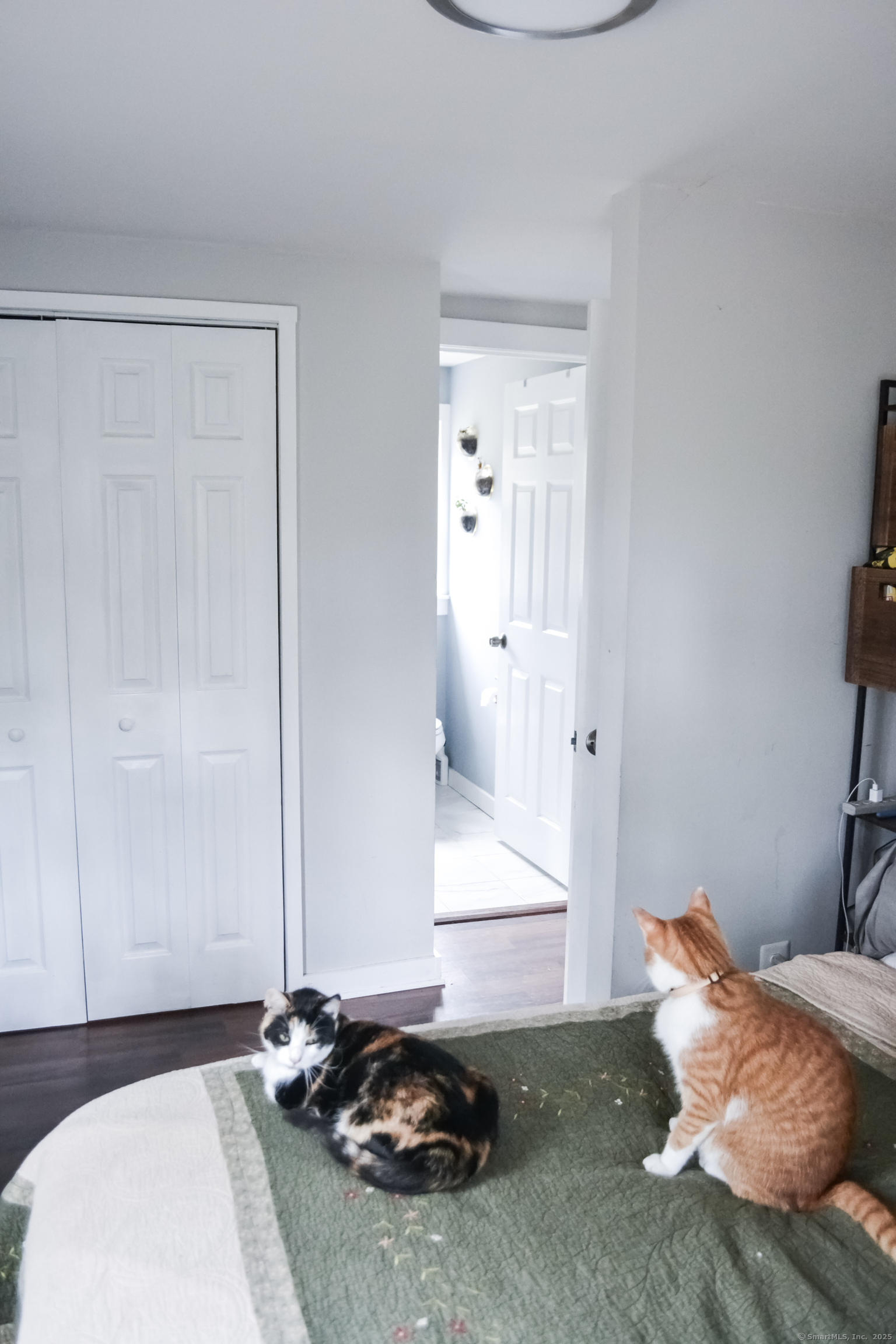 41 Petersen Road, Granby, Connecticut image 16