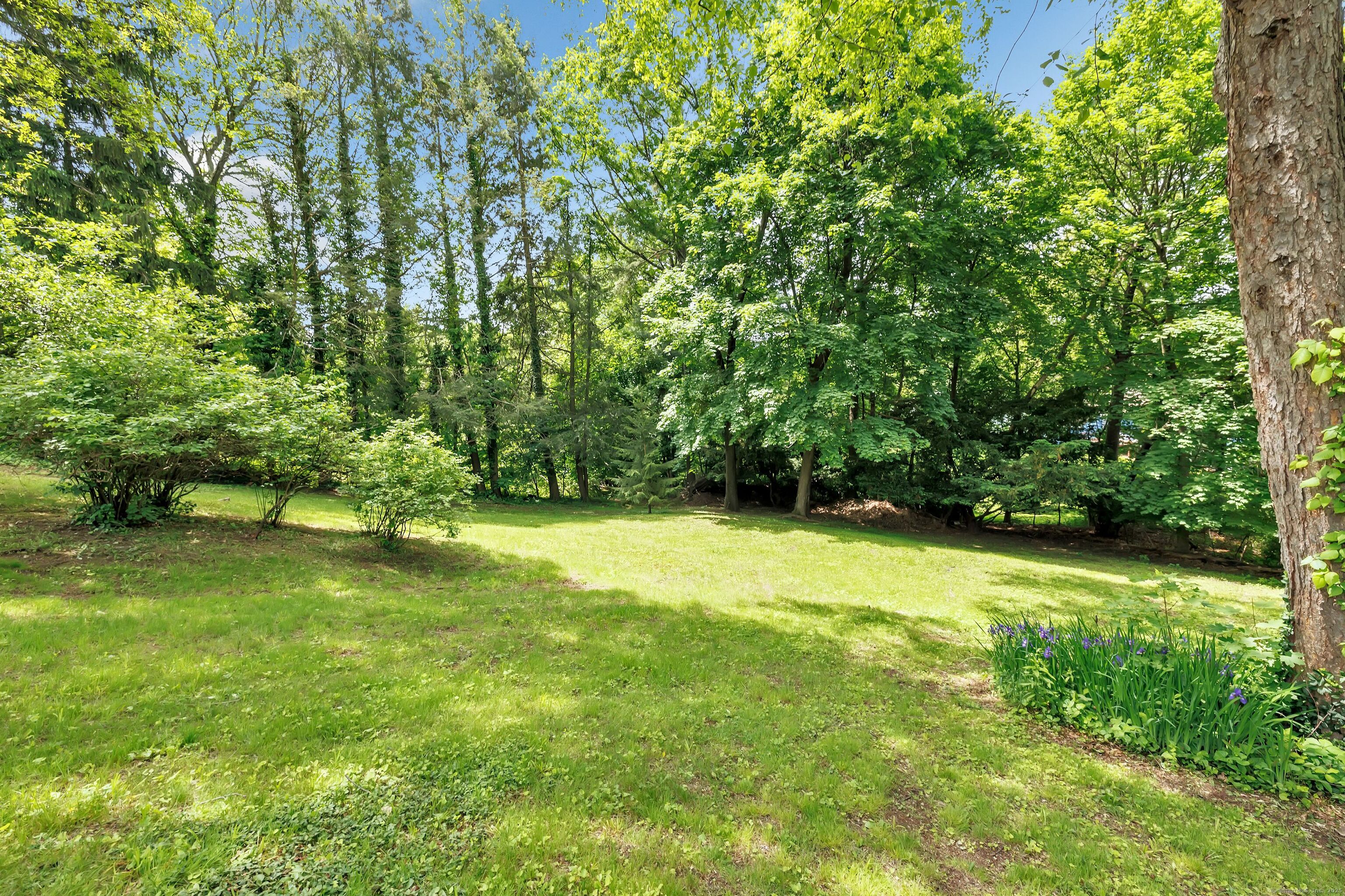 85 Ridgeview Place, Cheshire, Connecticut image 38