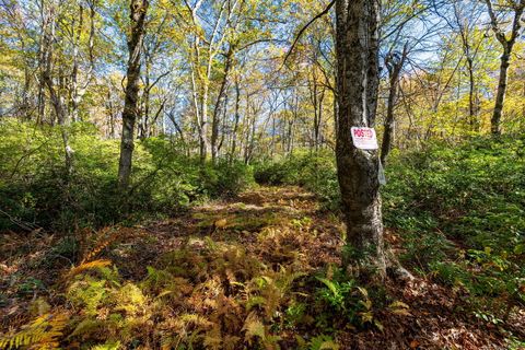 Tiny photo for 20 Edgerton Road, Granby, CT 06090 (MLS # 24133892)