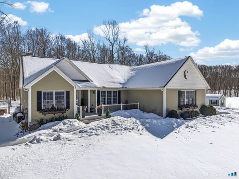 Photo of 344 Bozrah Street, Bozrah, CT 06334 (MLS # 24156286)