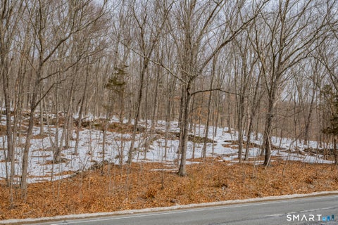 Tiny photo for Frost Bridge Road, Watertown, CT 06795 (MLS # 24118953)