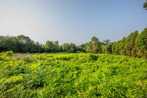 Tiny photo for Frost Bridge Road, Watertown, CT 06795 (MLS # 24118953)