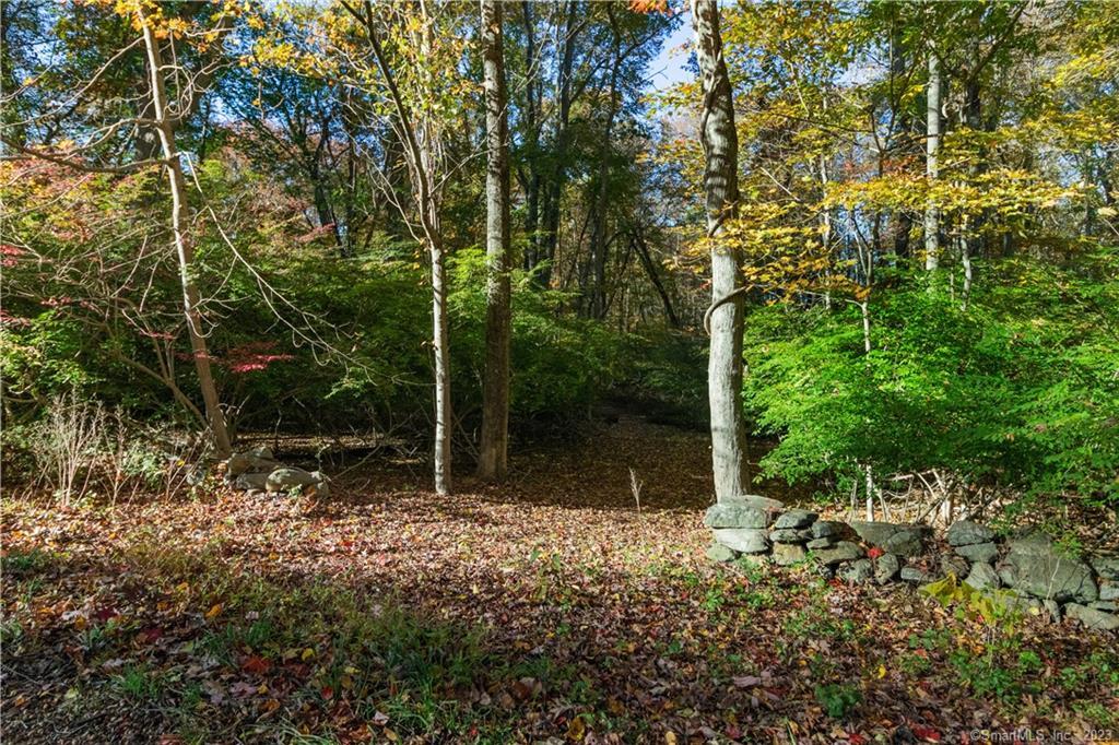 101 Town Woods Road, Lyme, Connecticut -  - 