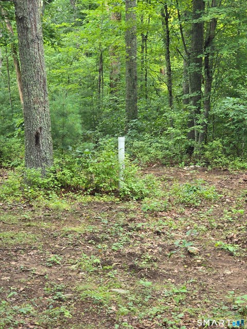 Tiny photo for 30 Blackledge Drive, Marlborough, CT 06447 (MLS # 24201049)