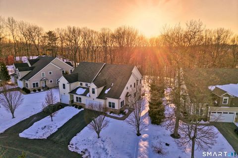Photo of 101 Turtlebrook Lane #101, Bristol, CT 06010 (MLS # 24157234)