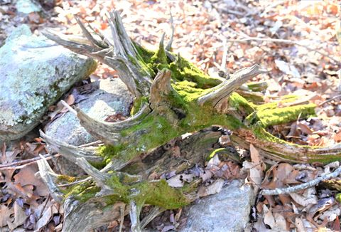 Tiny photo for 62-14,15,16 Middlesex Turnpike, Old Saybrook, CT 06475 (MLS # 24088854)