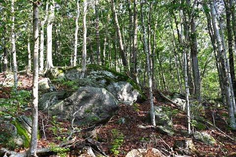 Tiny photo for 62-14,15,16 Middlesex Turnpike, Old Saybrook, CT 06475 (MLS # 24088854)