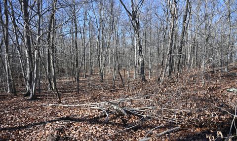 Tiny photo for 62-14,15,16 Middlesex Turnpike, Old Saybrook, CT 06475 (MLS # 24088854)