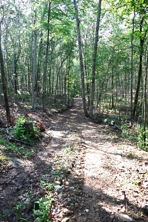 Tiny photo for 62-14,15,16 Middlesex Turnpike, Old Saybrook, CT 06475 (MLS # 24088854)