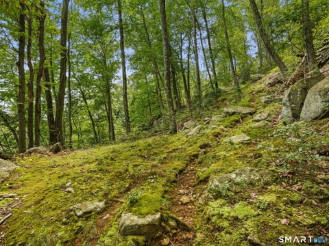 Tiny photo for 89 Wood Creek Road, New Fairfield, CT 06812 (MLS # 24202785)