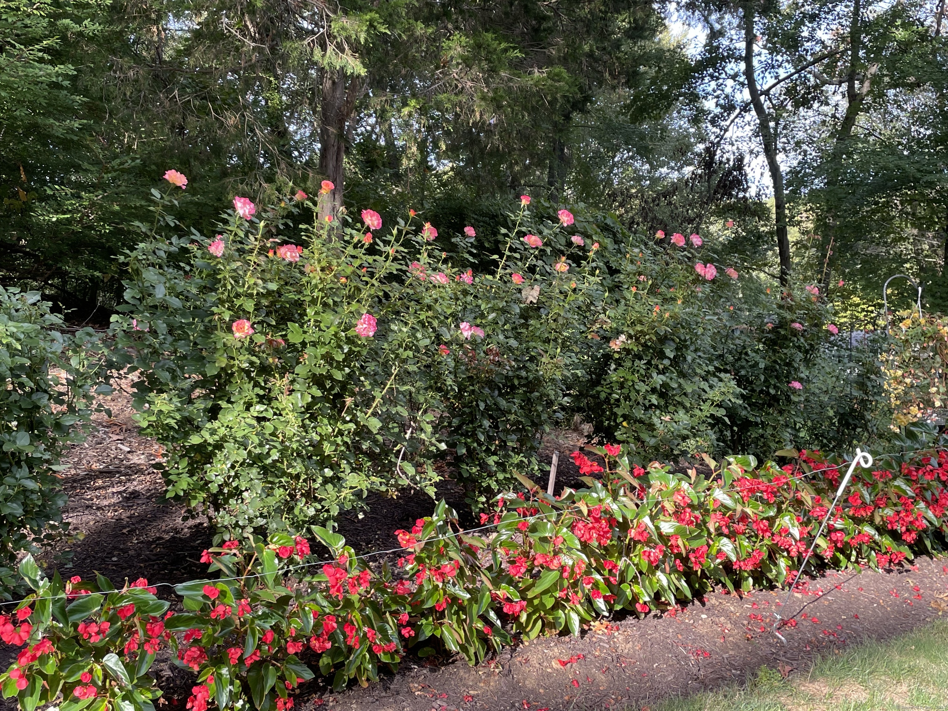 Old Saybrook, Connecticut 06475, United States, 4 Bedrooms Bedrooms, ,3 BathroomsBathrooms,Residential,Pending,235302