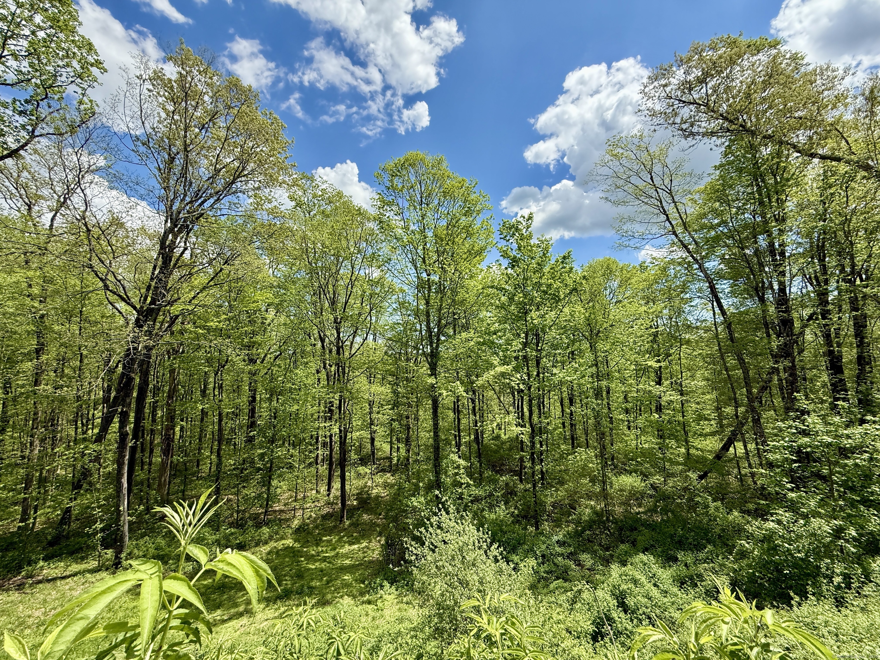39 Peach Farm Road, Oxford, Connecticut image 29