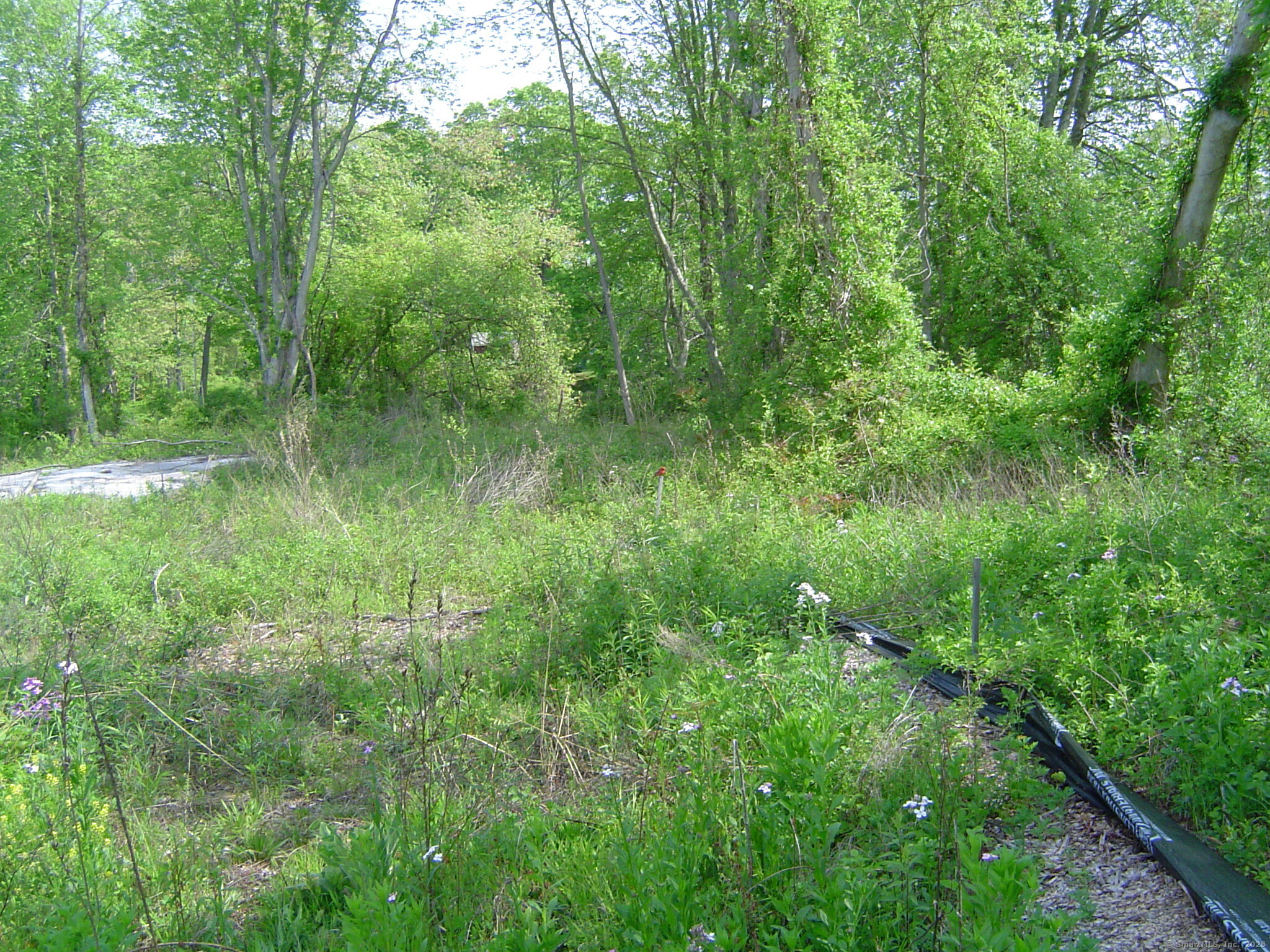 59 Mill Road