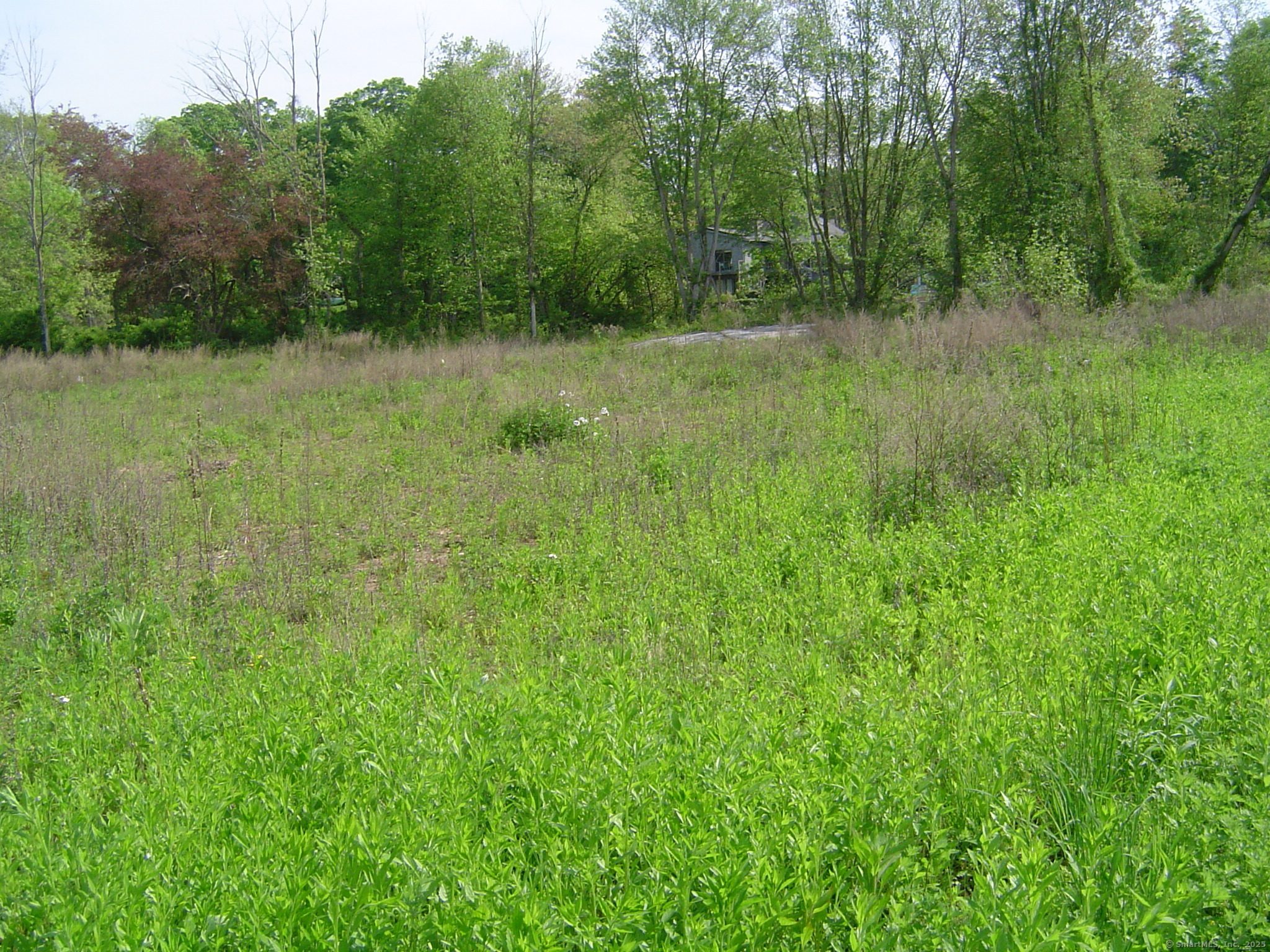 59 Mill Road