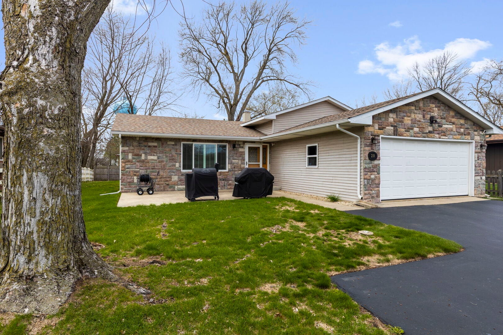 218 Mastodon Drive