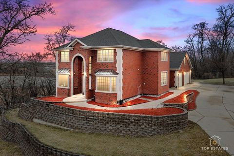 11150 Alexis Lane Orland Park IL 60467