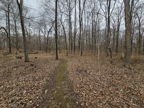 Tiny photo for 13751 N Condor Lane, Bluford, IL 62814 (MLS # 12586530)