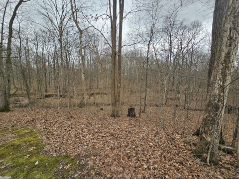 Tiny photo for 13751 N Condor Lane, Bluford, IL 62814 (MLS # 12586530)