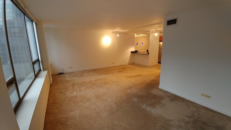 233 E Erie Street 2208