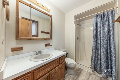 Tiny photo for 17027 Judy Court, Oak Forest, IL 60452 (MLS # 12515213)