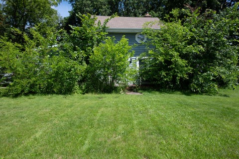 MLS: 12689074