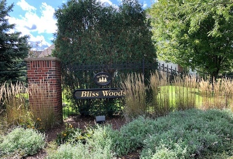 Tiny photo for 617 Hickory Street, Sugar Grove, IL 60554 (MLS # 12792951)
