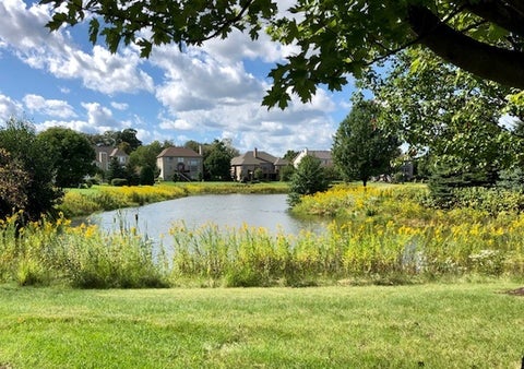 Tiny photo for 617 Hickory Street, Sugar Grove, IL 60554 (MLS # 12792951)