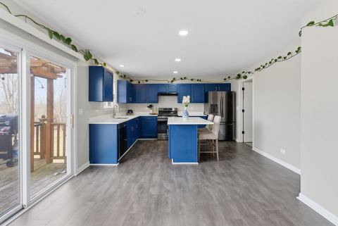 Tiny photo for 224 Johnson Street, Hampshire, IL 60140 (MLS # 12599573)