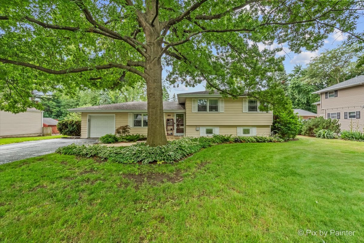 28w705 Rogers Avenue