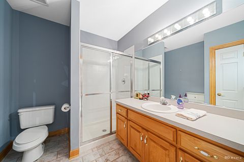 Tiny photo for 13100 Fox Lane, Lemont, IL 60439 (MLS # 12465226)