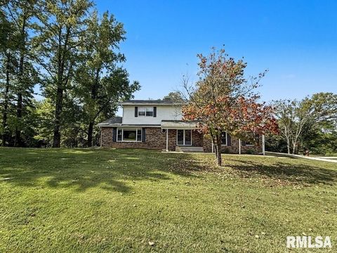 Tiny photo for 39 Butternut Hill Drive, Carbondale, IL 52903 (MLS # QC4268004)