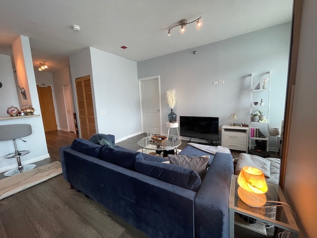 757 N Orleans Street 1210