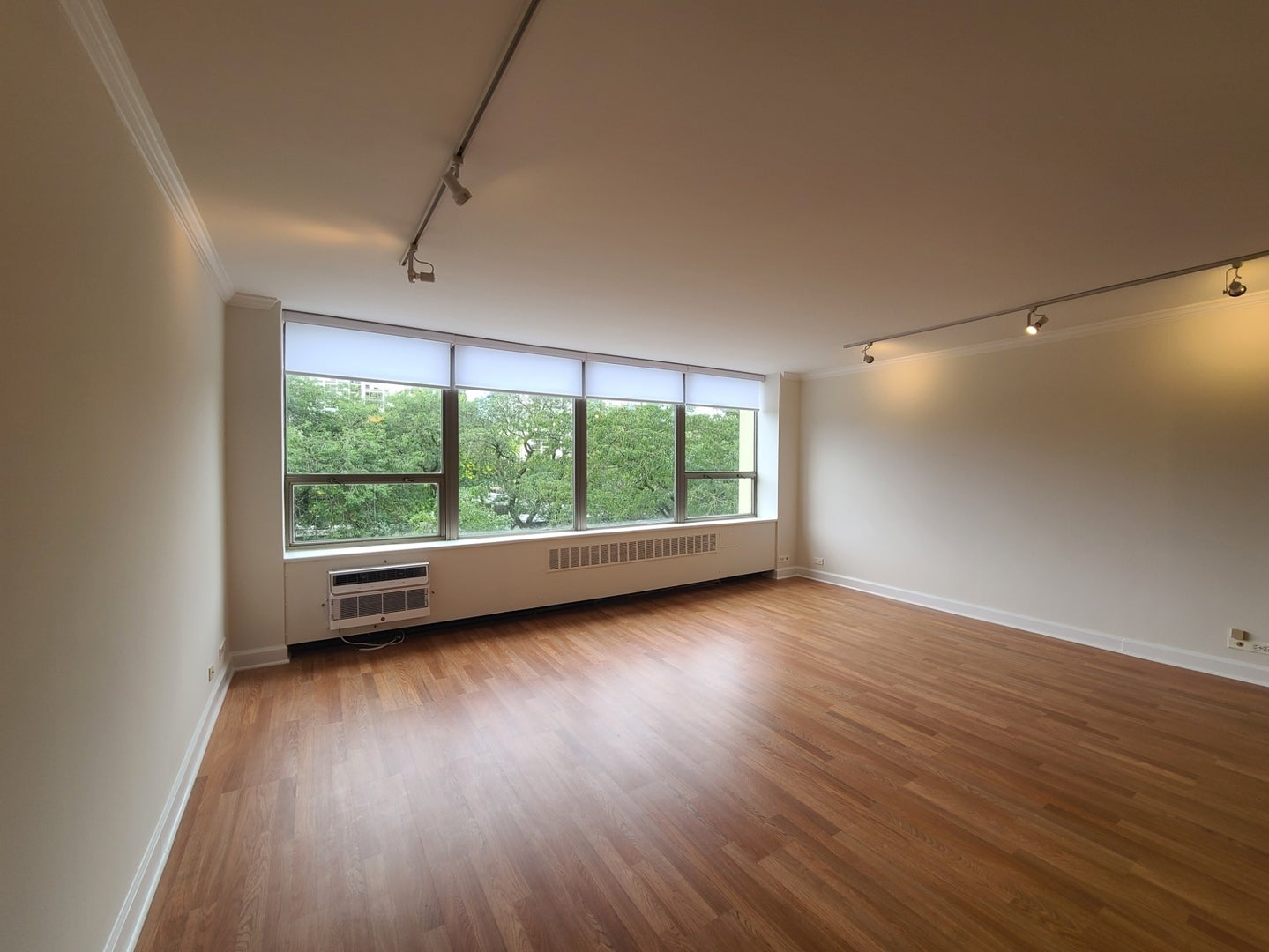 1360 N Sandburg Terrace 410