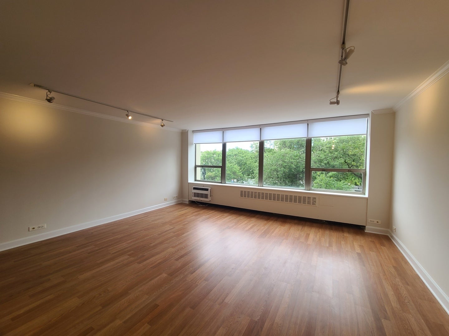 1360 N Sandburg Terrace 410